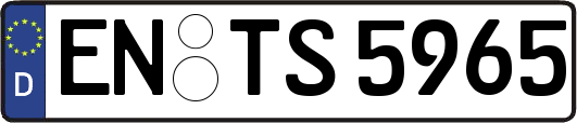 EN-TS5965