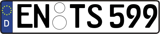 EN-TS599