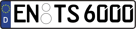 EN-TS6000
