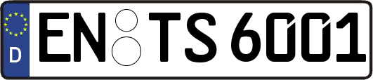 EN-TS6001