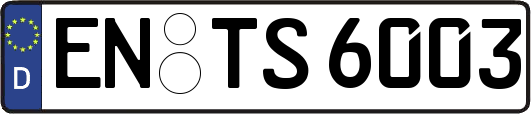 EN-TS6003