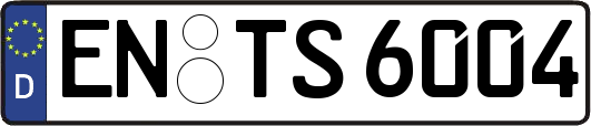 EN-TS6004