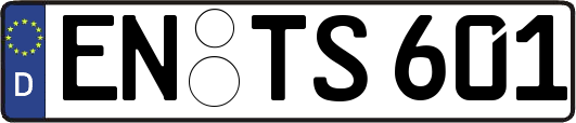 EN-TS601