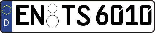 EN-TS6010