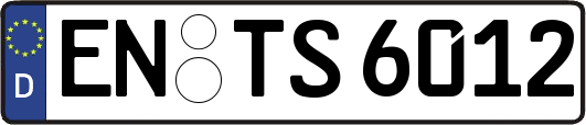 EN-TS6012
