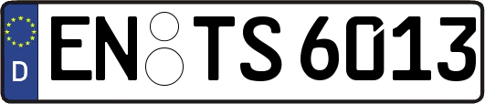 EN-TS6013