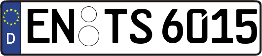 EN-TS6015
