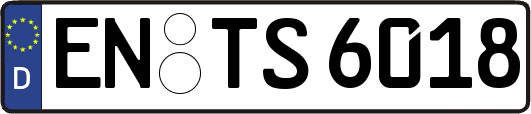 EN-TS6018
