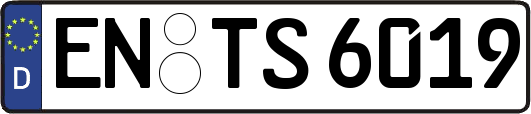 EN-TS6019
