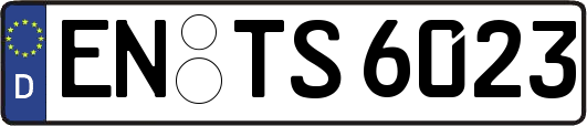 EN-TS6023
