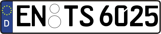 EN-TS6025