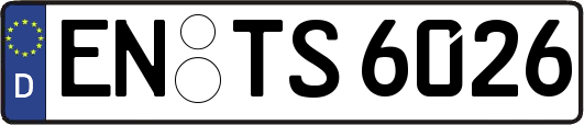 EN-TS6026