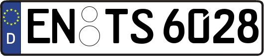 EN-TS6028
