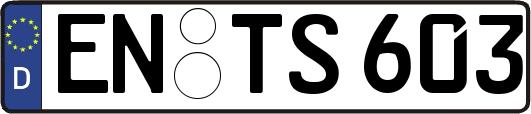 EN-TS603