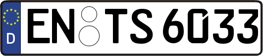 EN-TS6033