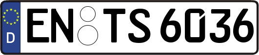EN-TS6036