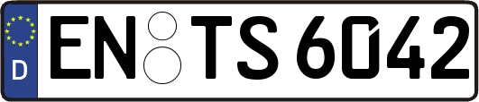 EN-TS6042