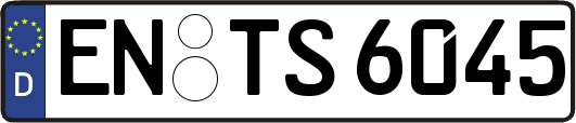 EN-TS6045