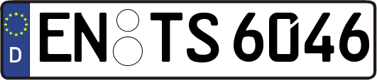 EN-TS6046