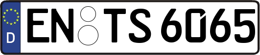 EN-TS6065