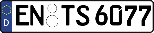 EN-TS6077