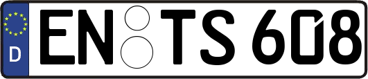EN-TS608