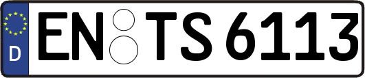 EN-TS6113