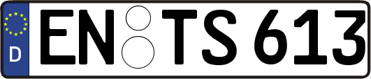 EN-TS613
