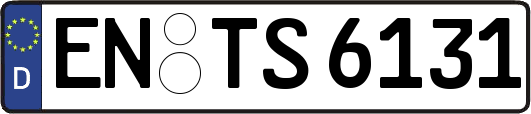 EN-TS6131