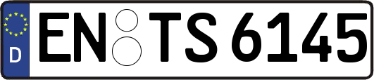 EN-TS6145