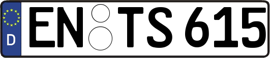 EN-TS615