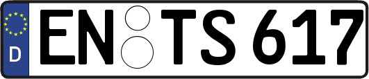 EN-TS617
