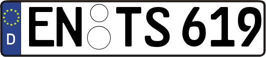 EN-TS619
