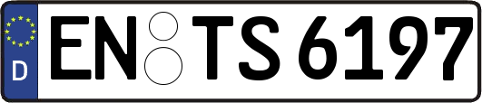 EN-TS6197