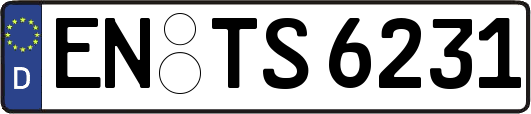 EN-TS6231