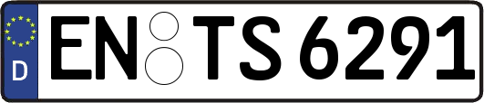 EN-TS6291