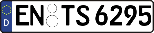 EN-TS6295