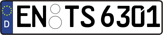 EN-TS6301