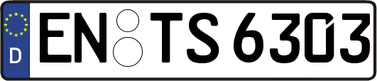 EN-TS6303
