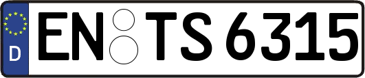 EN-TS6315