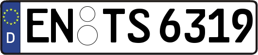 EN-TS6319