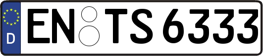 EN-TS6333