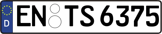 EN-TS6375
