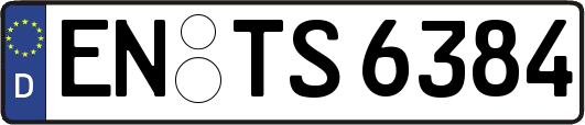 EN-TS6384