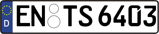 EN-TS6403