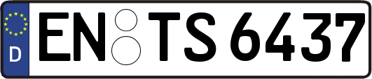 EN-TS6437