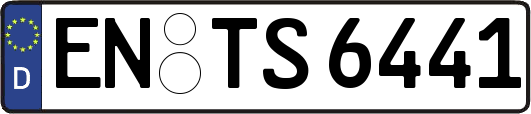 EN-TS6441