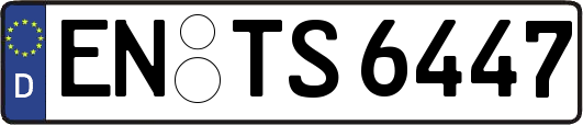 EN-TS6447