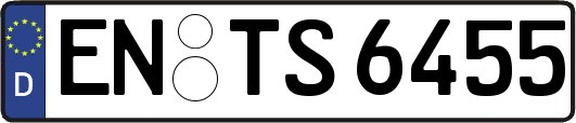 EN-TS6455