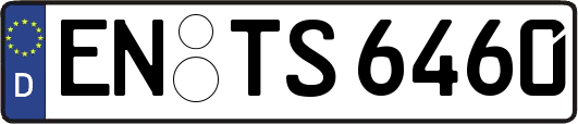 EN-TS6460